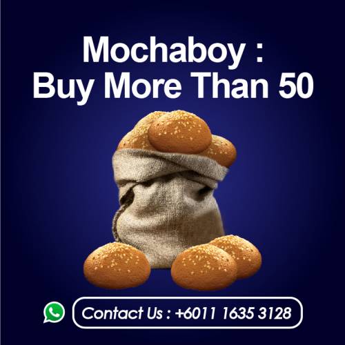 Mochaboy